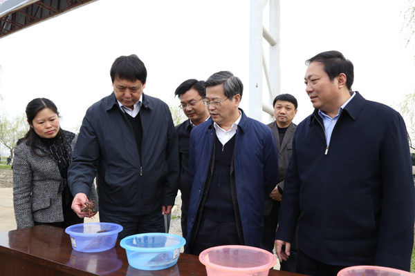中央政法委委員、秘書長、時任湖北省省委副書記、武漢市委書記陳一新視察萊克龍灣基地