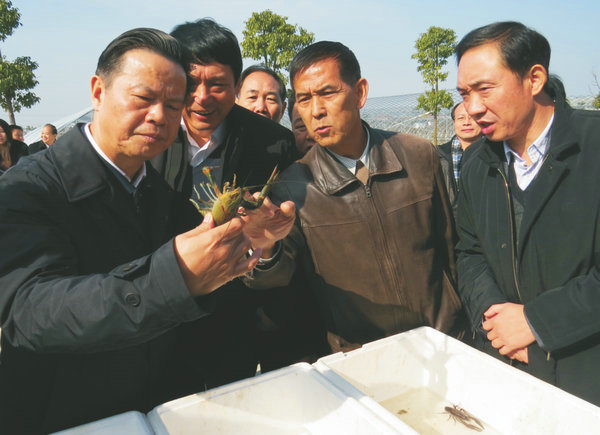 安徽省政協(xié)主席、時任湖北省政協(xié)主席張昌爾視察萊克小龍蝦選育繁育中心